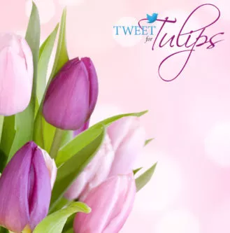 Tweet-for-Tulips-FB-Remarketing