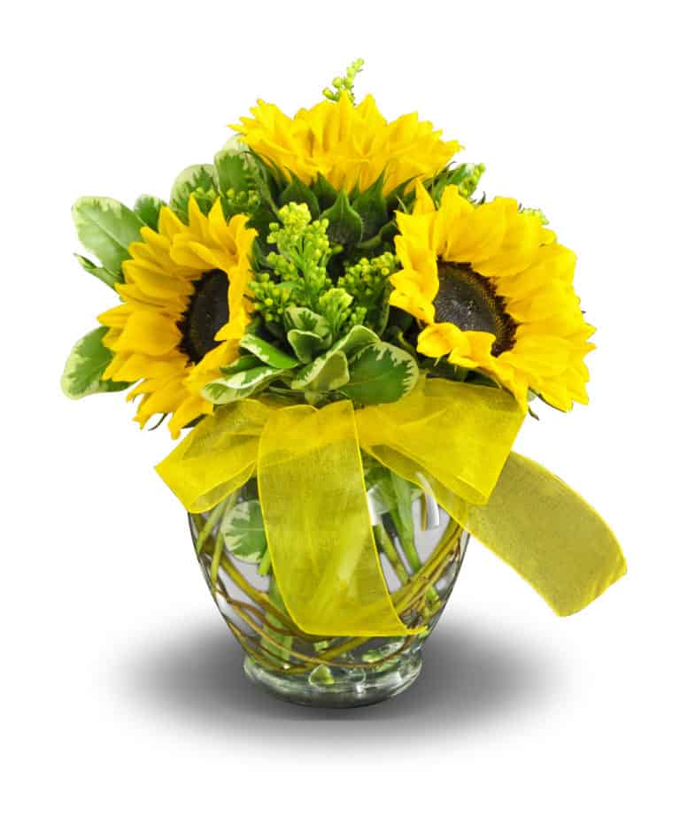 Nature’s Finest Fall Blooms Are Here! Mary Murrays Flowers