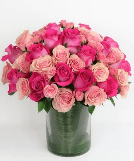 Roses in shades of pink. Designed in a glass cylindar, Compact modern design style. 